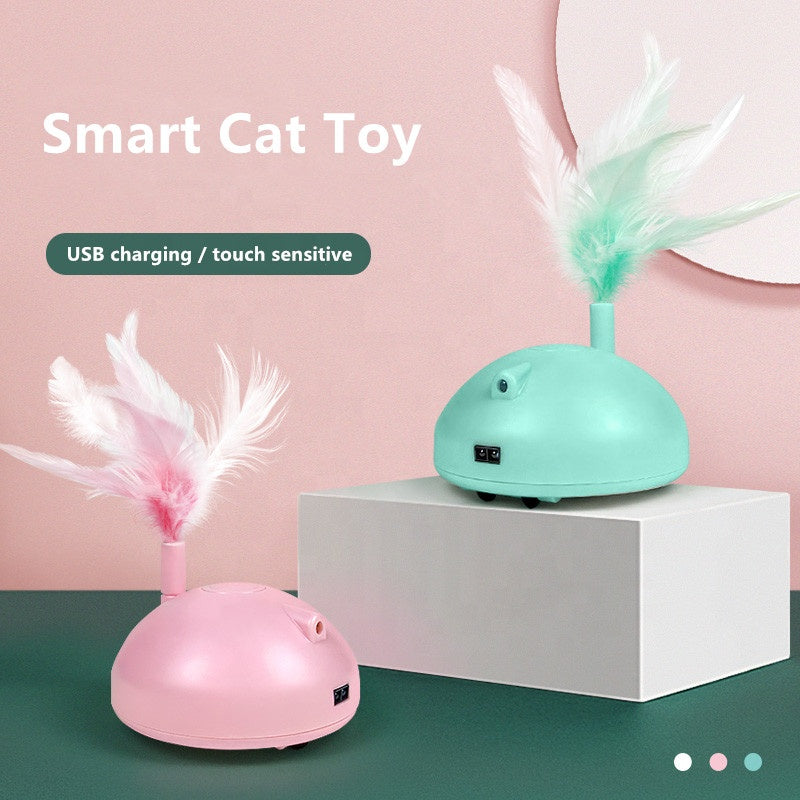 interactive pet toy