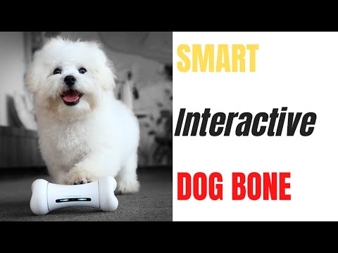 WICKEDBONE* NEW INTERACTIVE DOG BONE