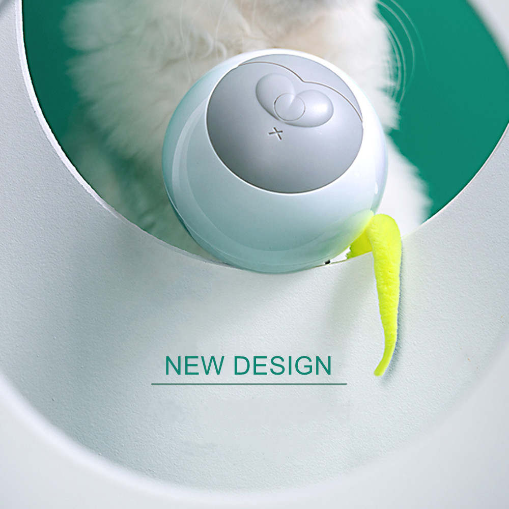 electronic cat toy