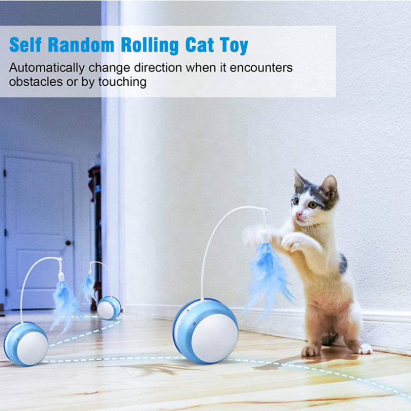automated cat toy