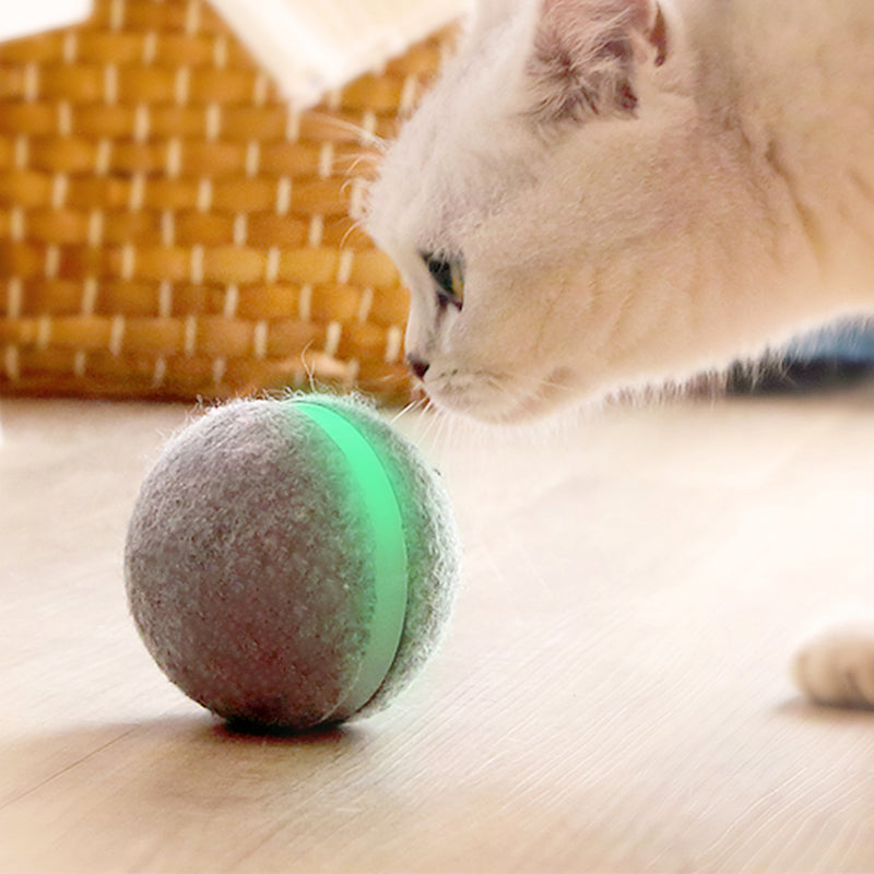 Interactive cat ball